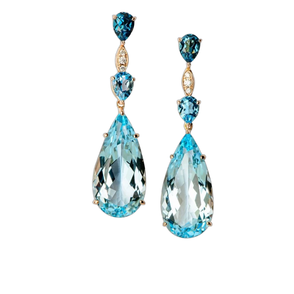 Elegant Earrings Takara