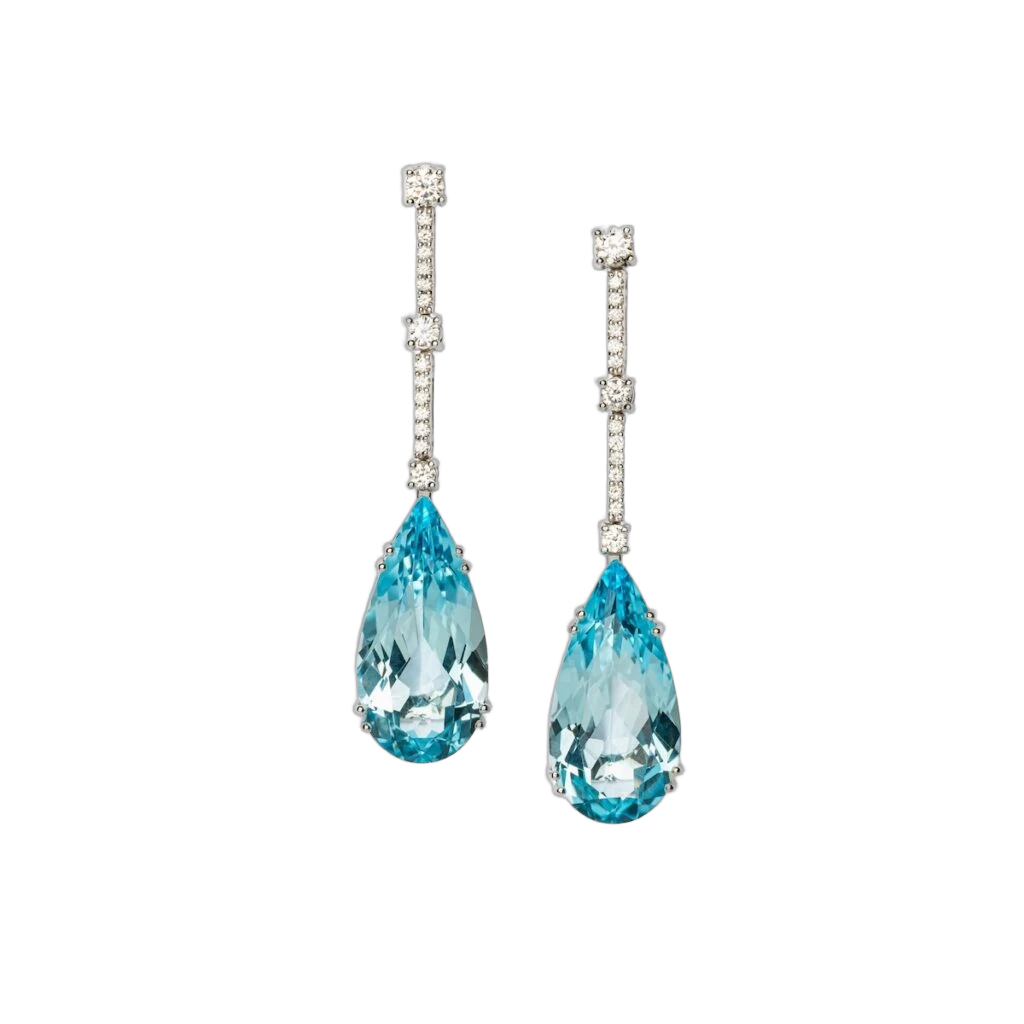 Exquisite Earrings Takara